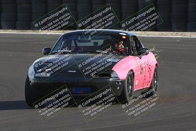 media/Jan-25-2025-CalClub SCCA (Sat) [[03c98a249e]]/Race 4/